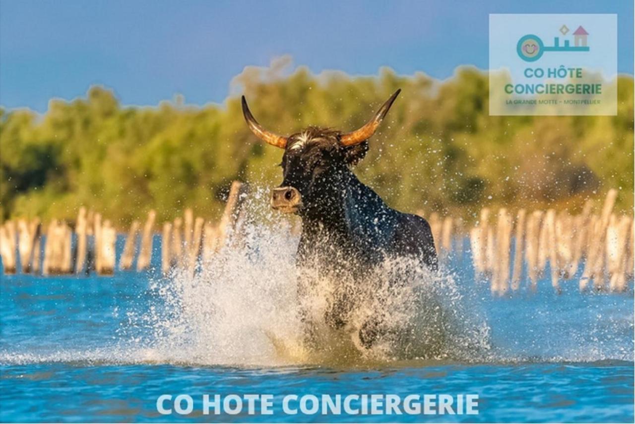CORAIL STUDIO - 2MIN PLAGE CENTRE VILLE WIFI - IDEAL FAMILLE - CoHôteConciergerie la Grande Motte La Grande-Motte Exterior foto